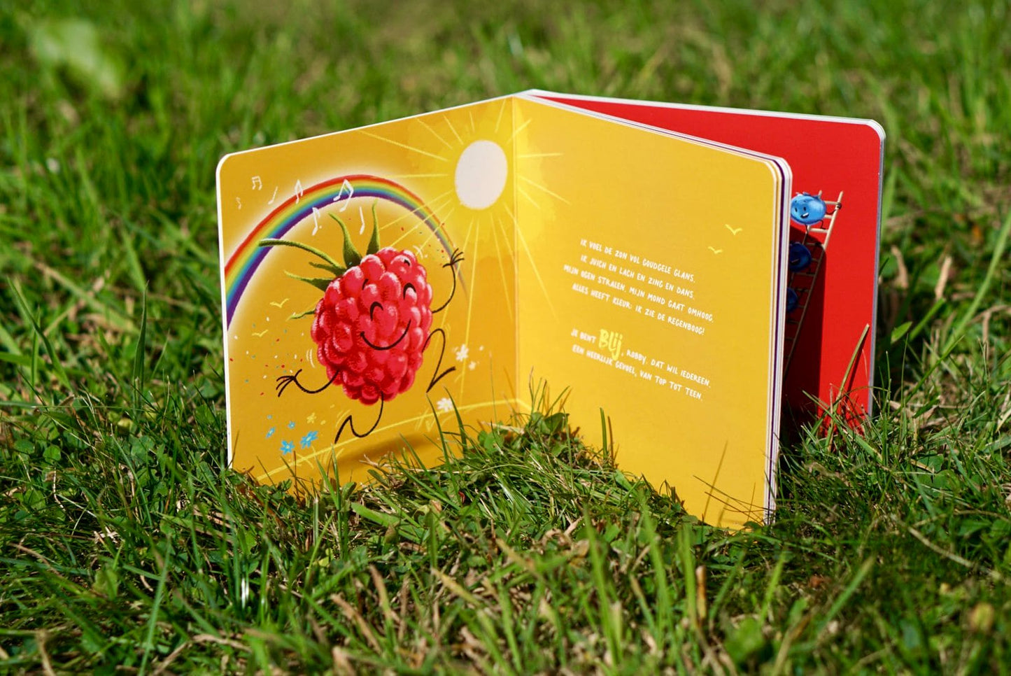 Jij maakt mij framblij